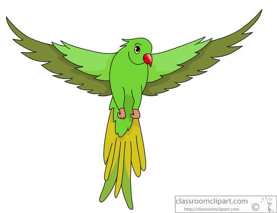 In Water Orton you are more likely to see a parakeet than a borough councillor