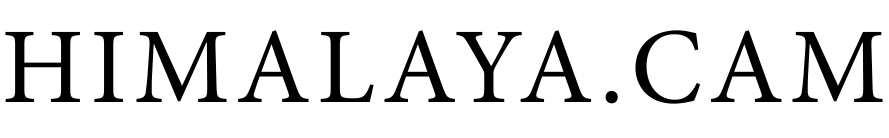Sustainable Tech Startup Acclerator